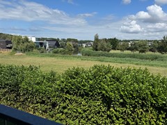 view from balcony.jpg